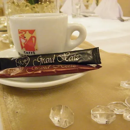 Grand Hertz בית הארחה בלגרד